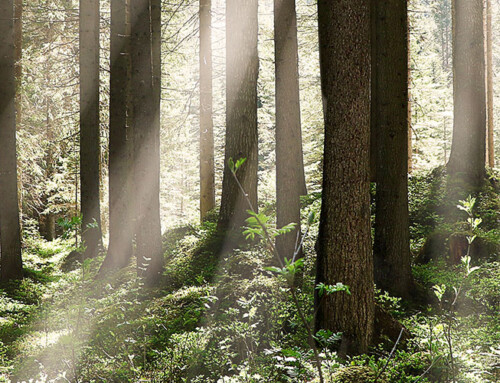 Werken zonder papier